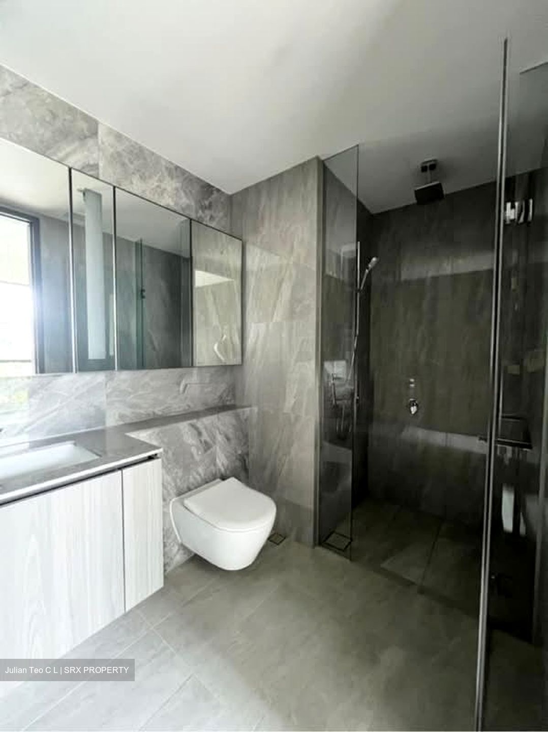Piccadilly Grand (D8), Apartment #528234291